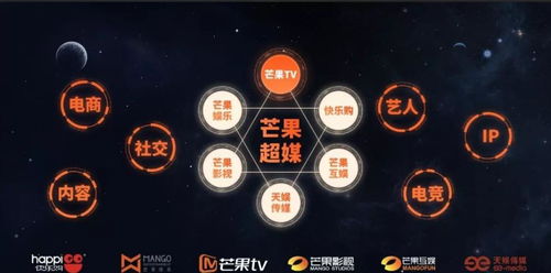 湖南廣電旗下上市公司回應(yīng)解約錢楓 非公司藝人，屬互聯(lián)網(wǎng)信息服務(wù)范疇